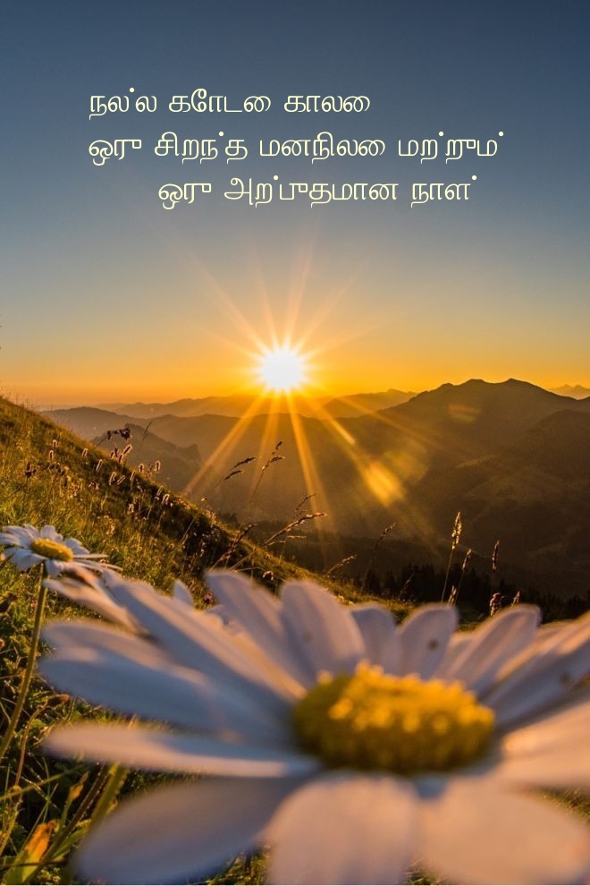 நல்ல கோடை காலை! ஒரு சிறந்த மனநிலை 