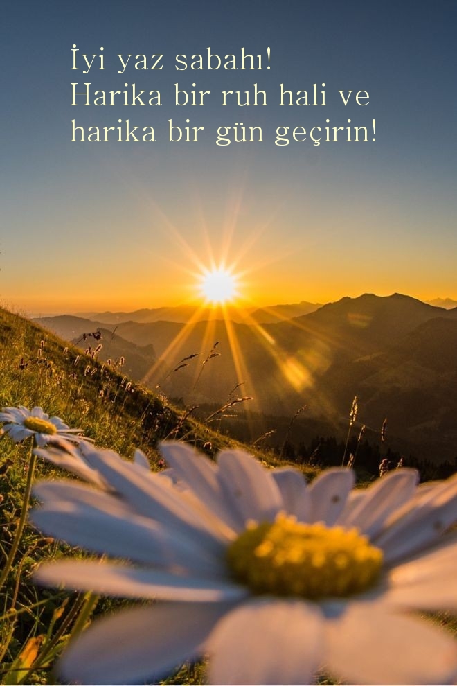 İyi yaz sabahı! Harika bir ruh hali ve harika bir gün geçirin!