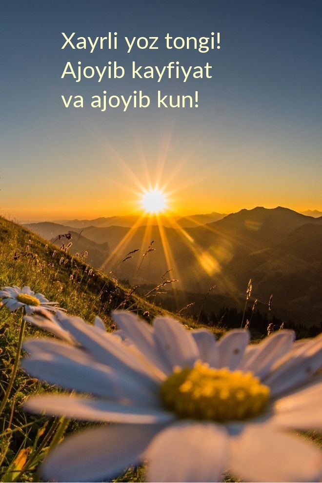 Xayrli yoz tongi! Ajoyib kayfiyat va ajoyib kun!