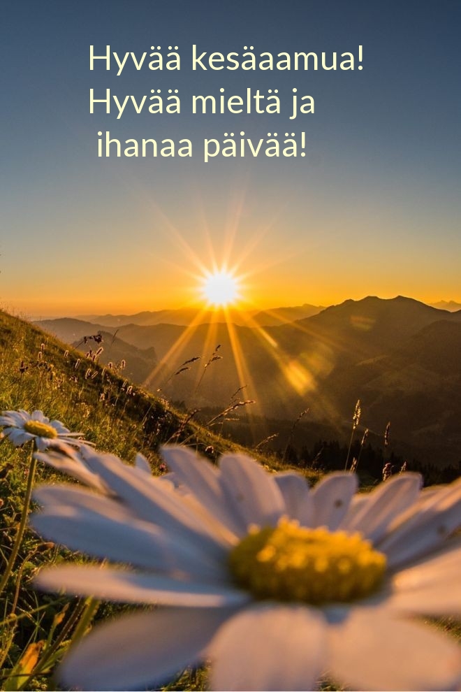 Hyvää kesäaamua! Hyvää mieltä ja ihanaa päivää!