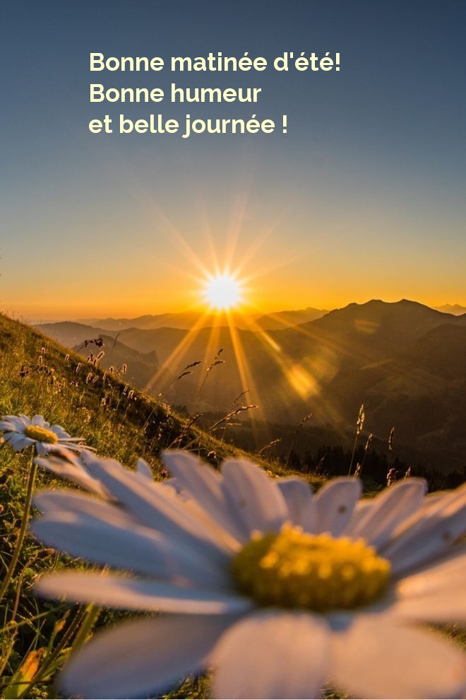 Bonne matinée d