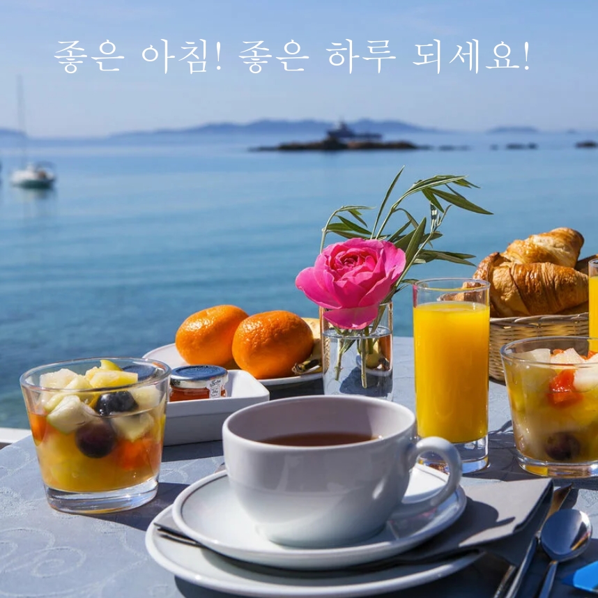 좋은 아침! 좋은 하루 되세요!