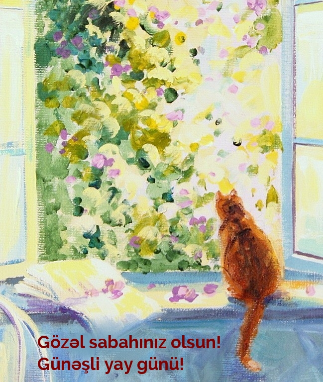 Gözəl sabahınız olsun! Günəşli yay günü!