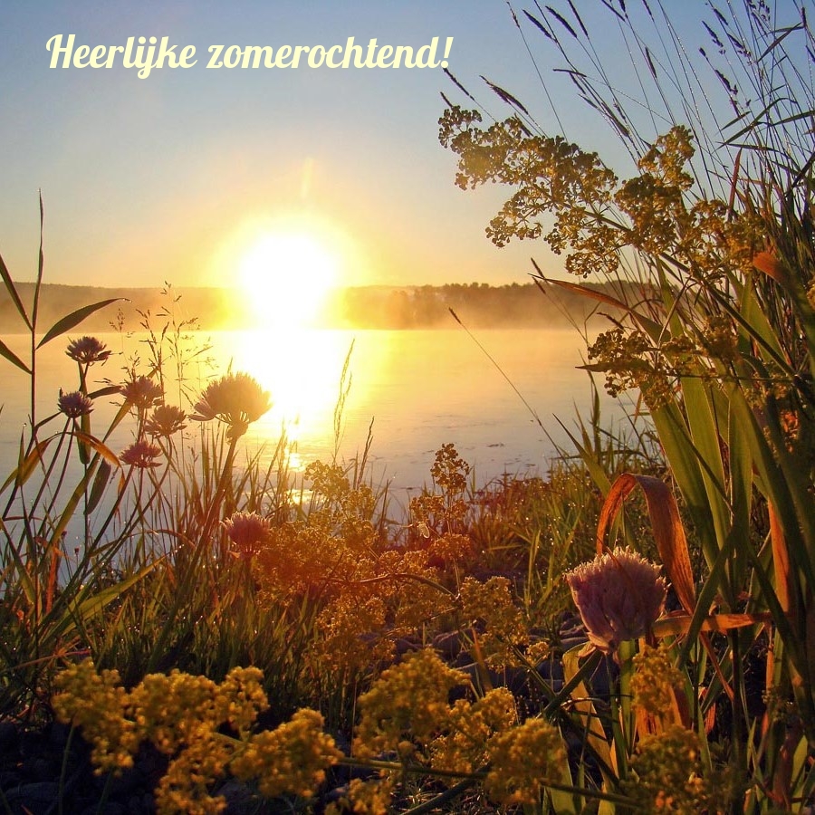 Heerlijke zomerochtend!