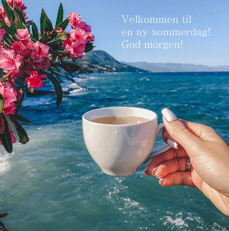 Velkommen til en ny sommerdag! God morgen!