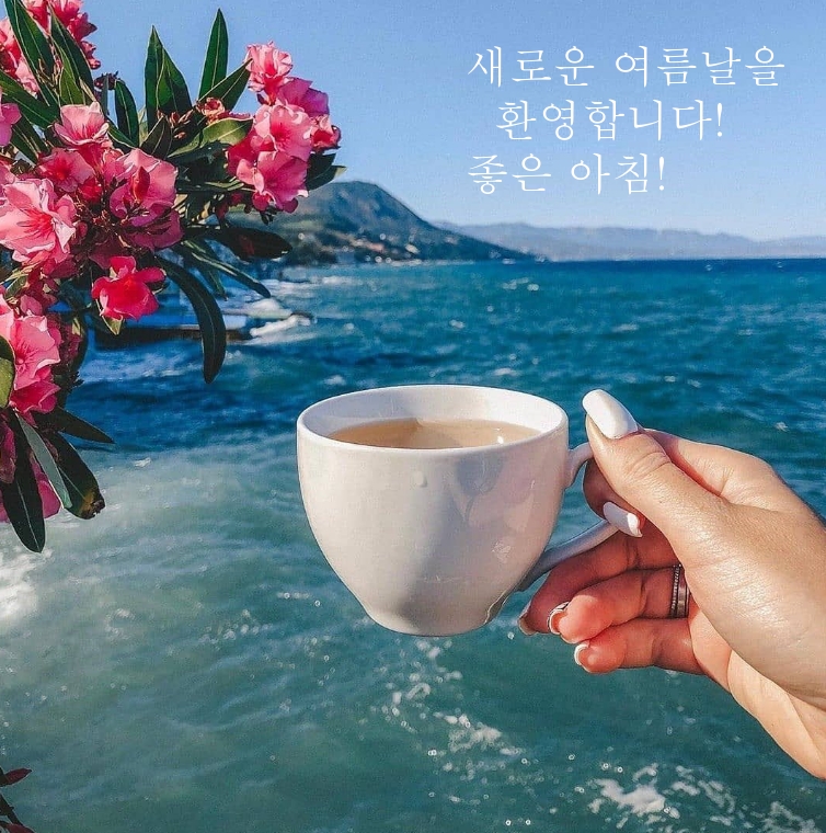 새로운 여름날을 환영합니다! 좋은 아침!
