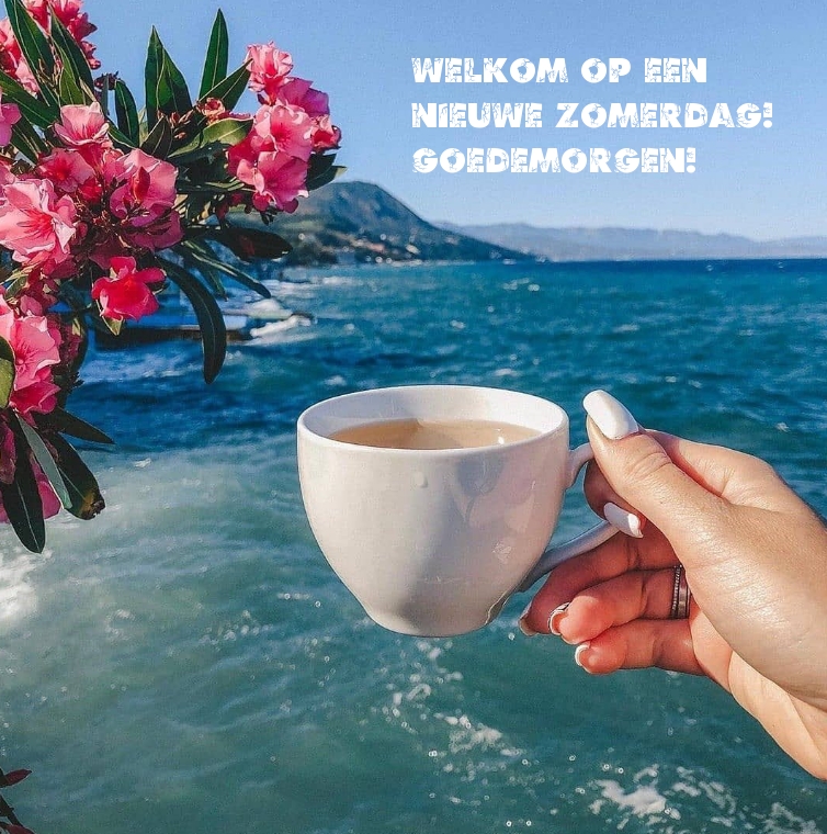 Welkom op een nieuwe zomerdag! Goedemorgen!