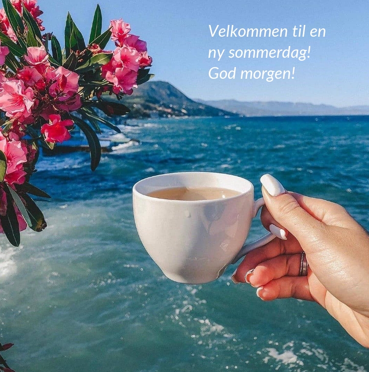 Velkommen til en ny sommerdag! God morgen!