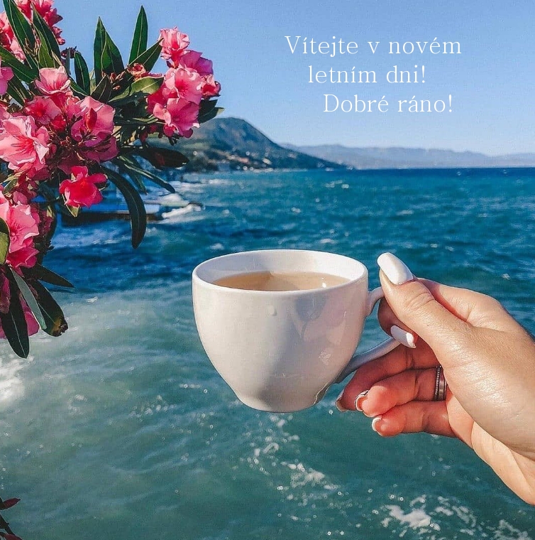 Vítejte v novém letním dni! Dobré ráno!