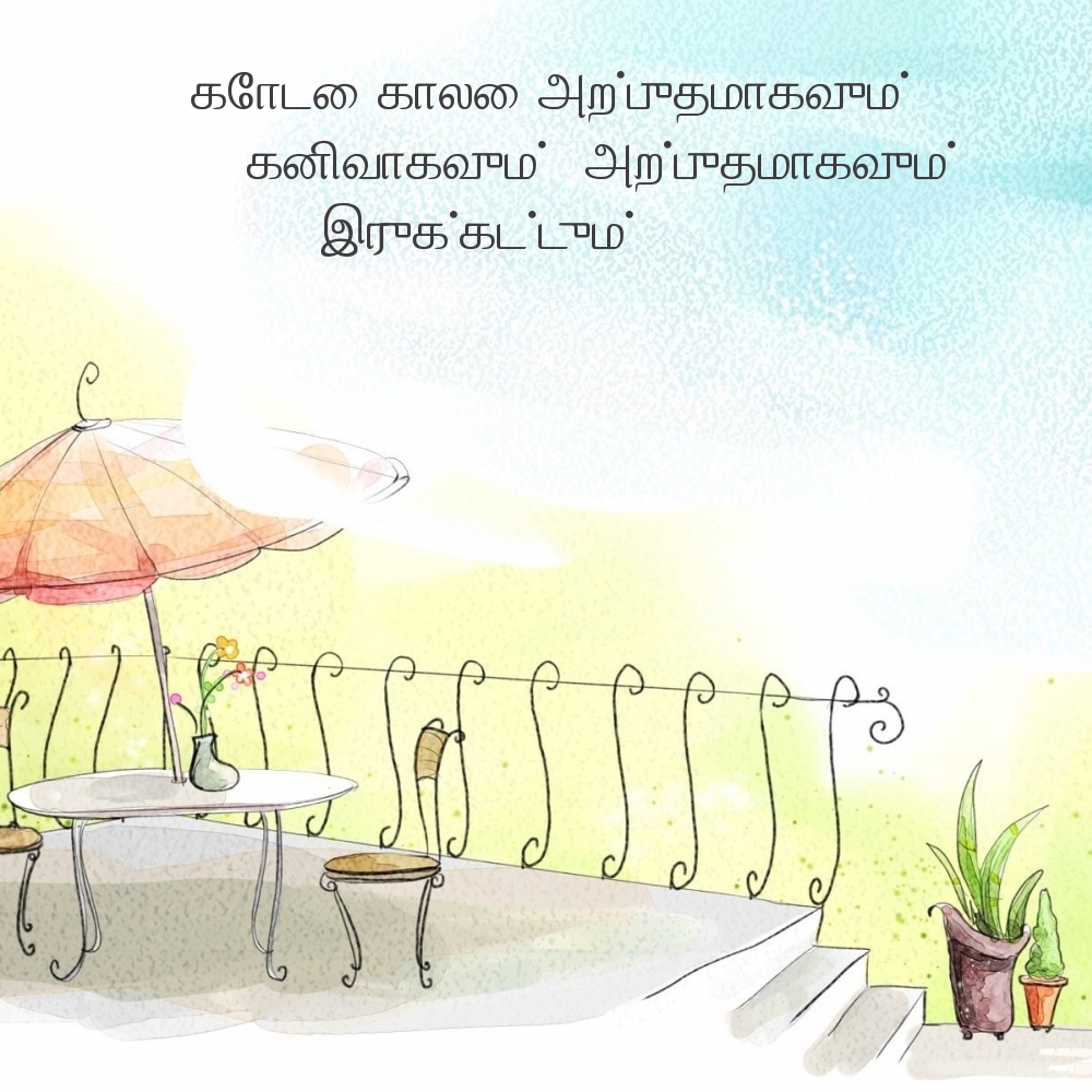 கோடை காலை அற்புதமாகவும், கனிவாகவும்