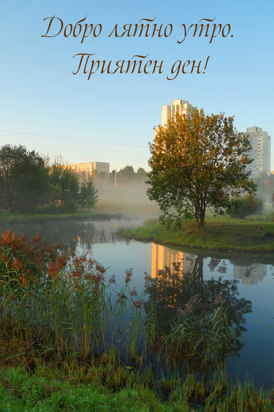 Добро лятно утро. Приятен ден!