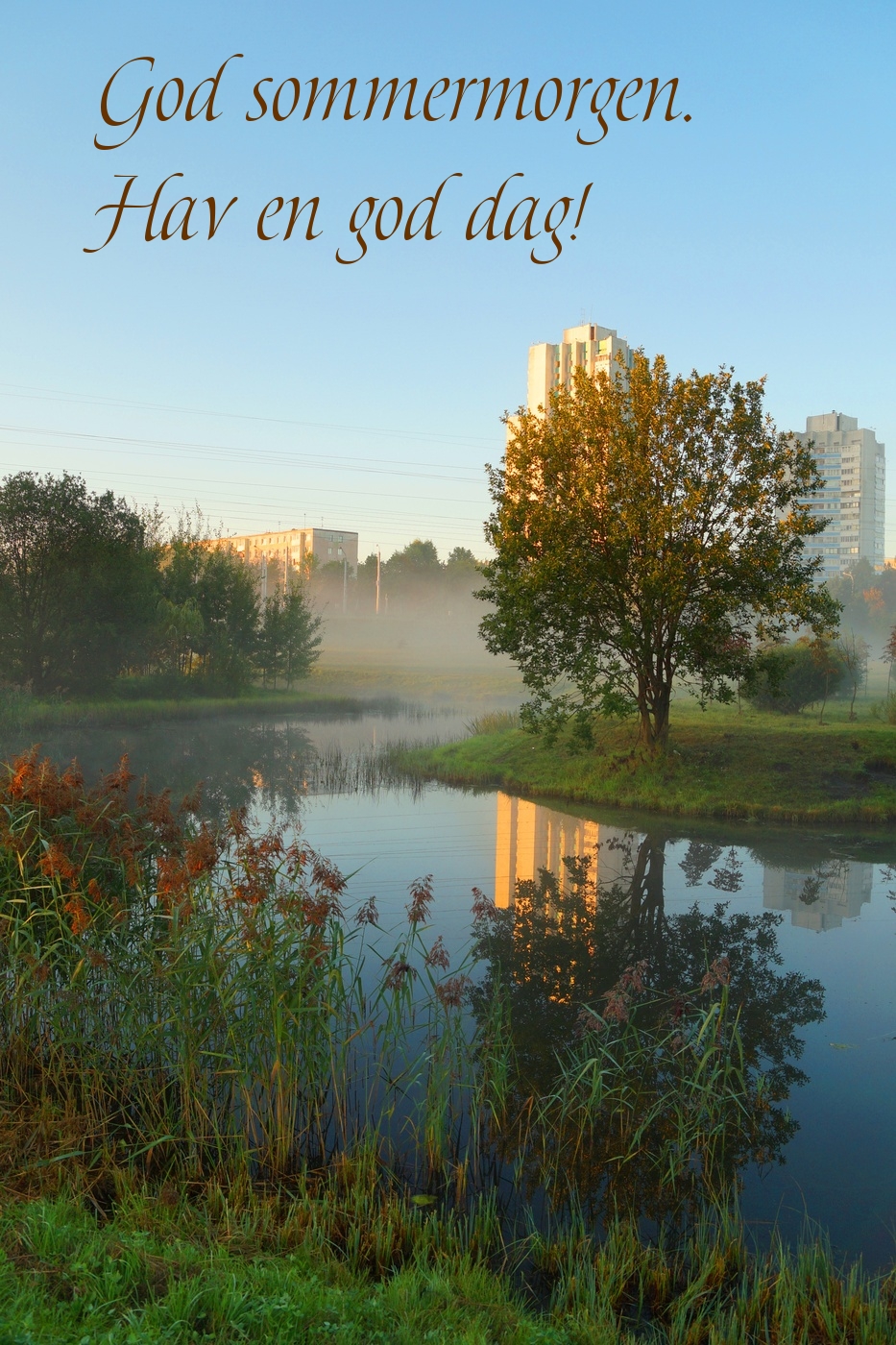 God sommermorgen. Hav en god dag!