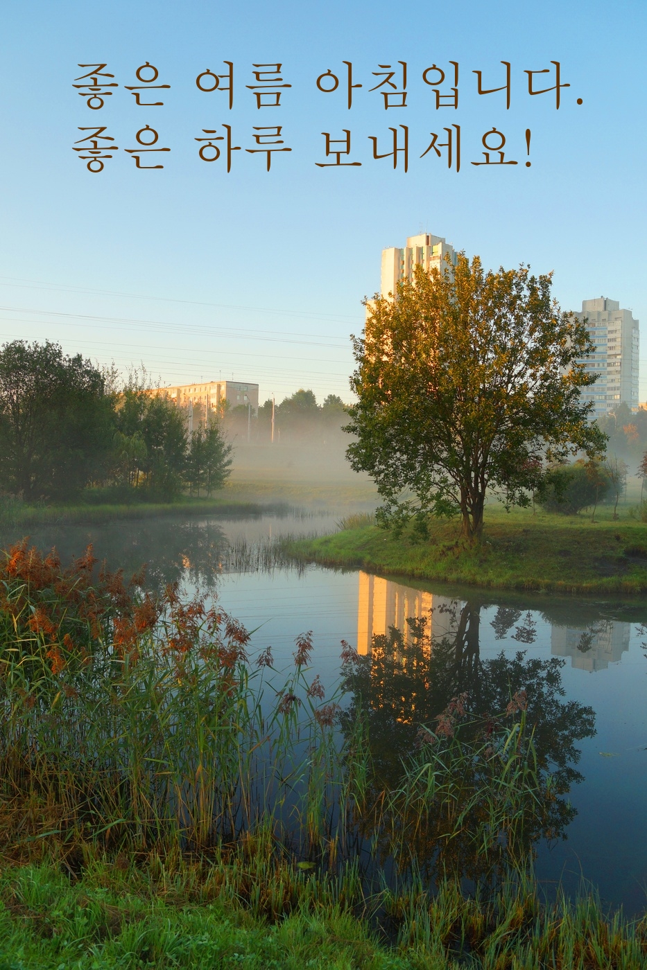 좋은 여름 아침입니다. 좋은 하루 보내세요!