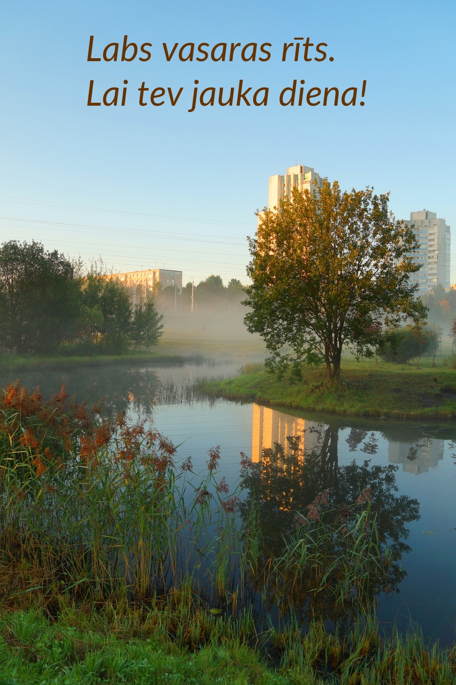 Labs vasaras rīts. Lai tev jauka diena!