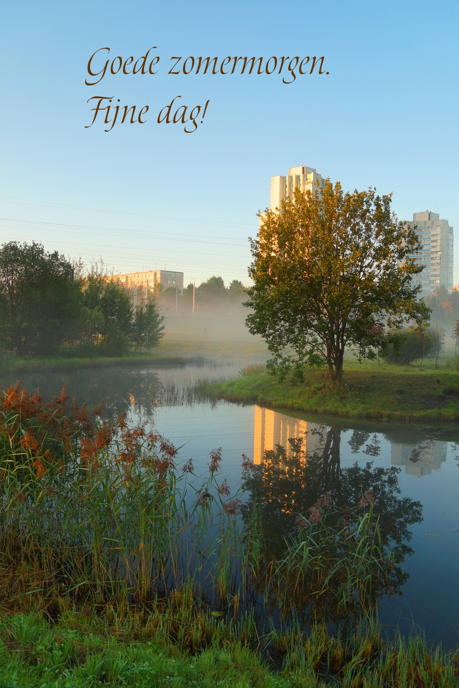 Goede zomermorgen. Fijne dag!