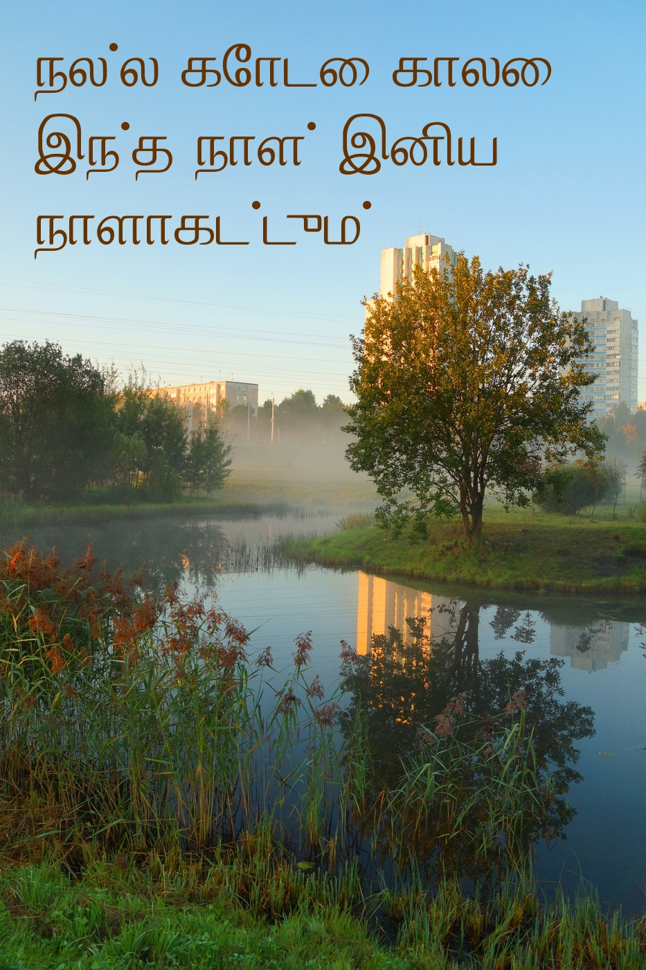 நல்ல கோடை காலை. இந்த நாள் இனிய நாளாகட்டும்!