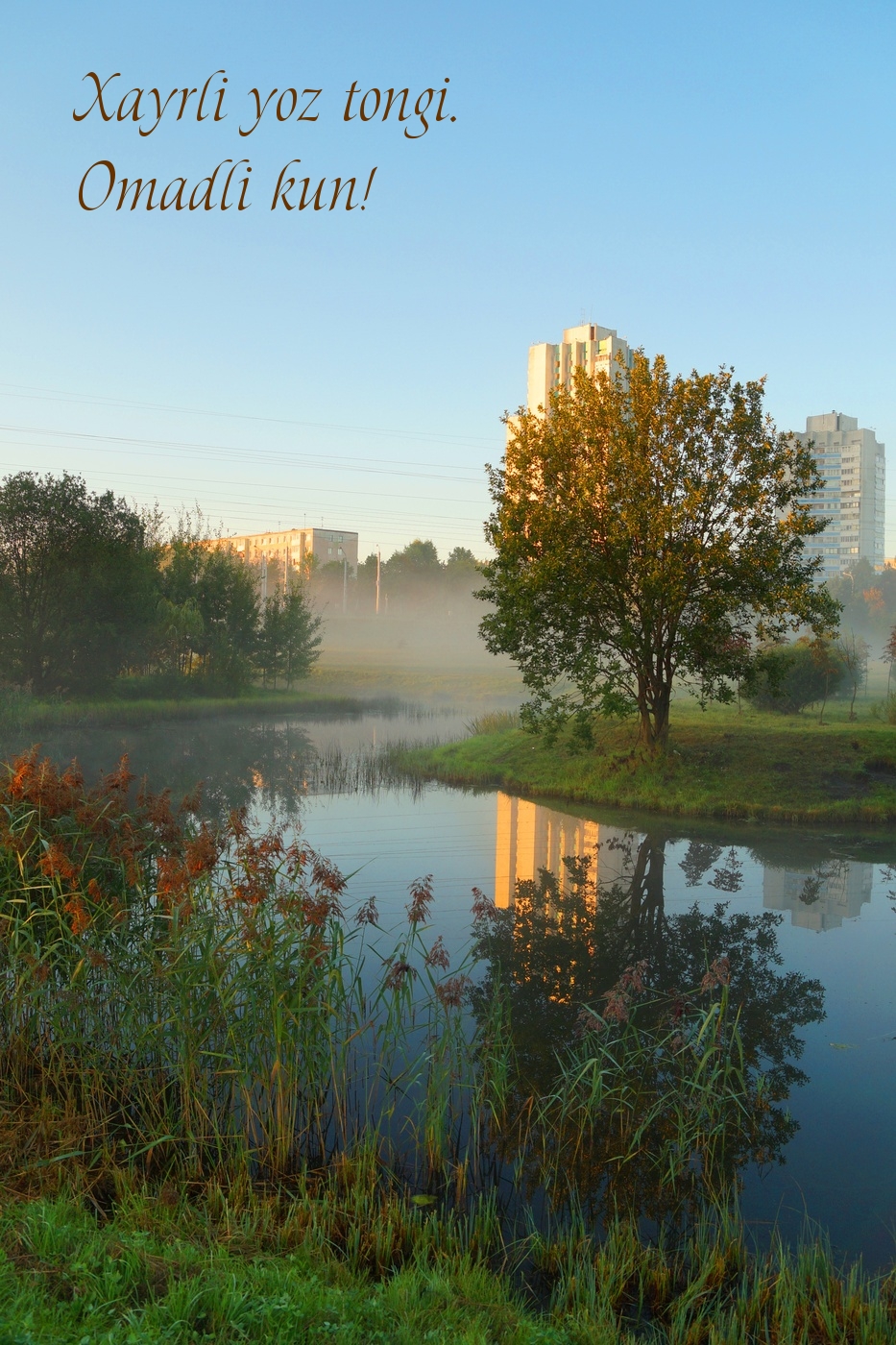 Hyvää kesäaamua. Hyvää päivänjatkoa!