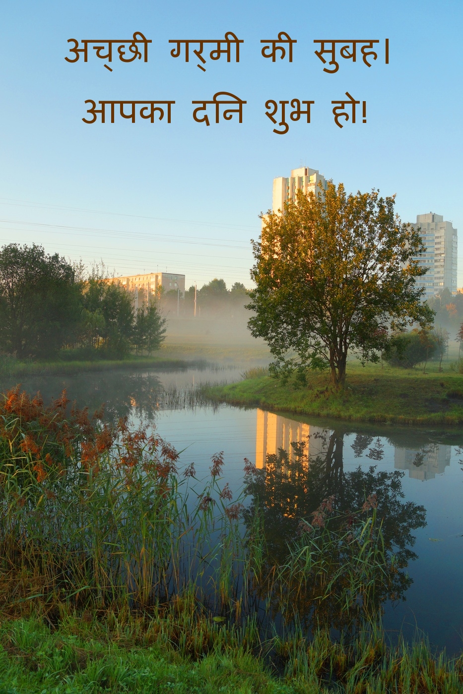 अच्छी गर्मी की सुबह। आपका दिन शुभ हो!