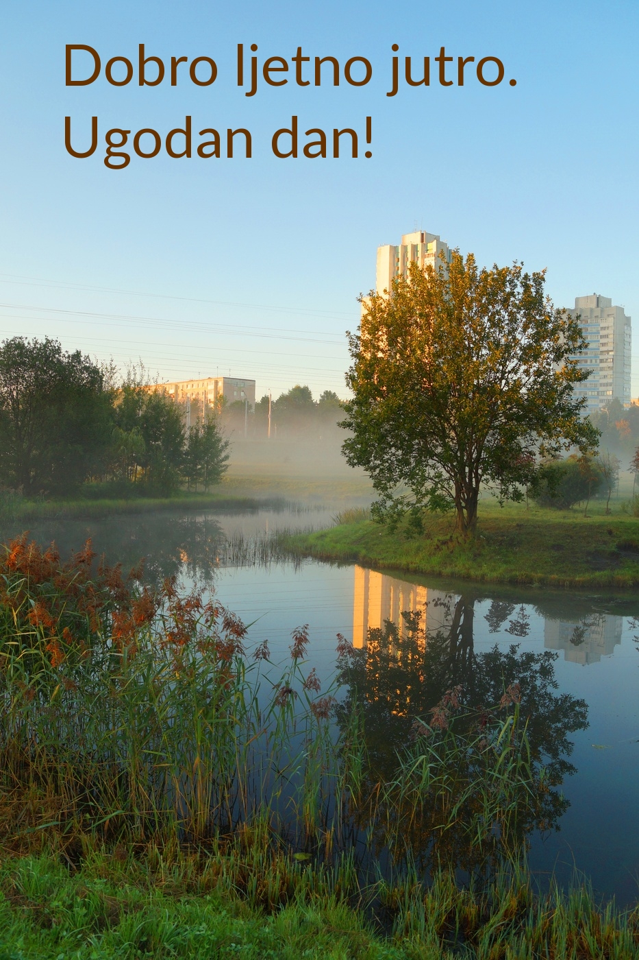 Dobro ljetno jutro. Ugodan dan!