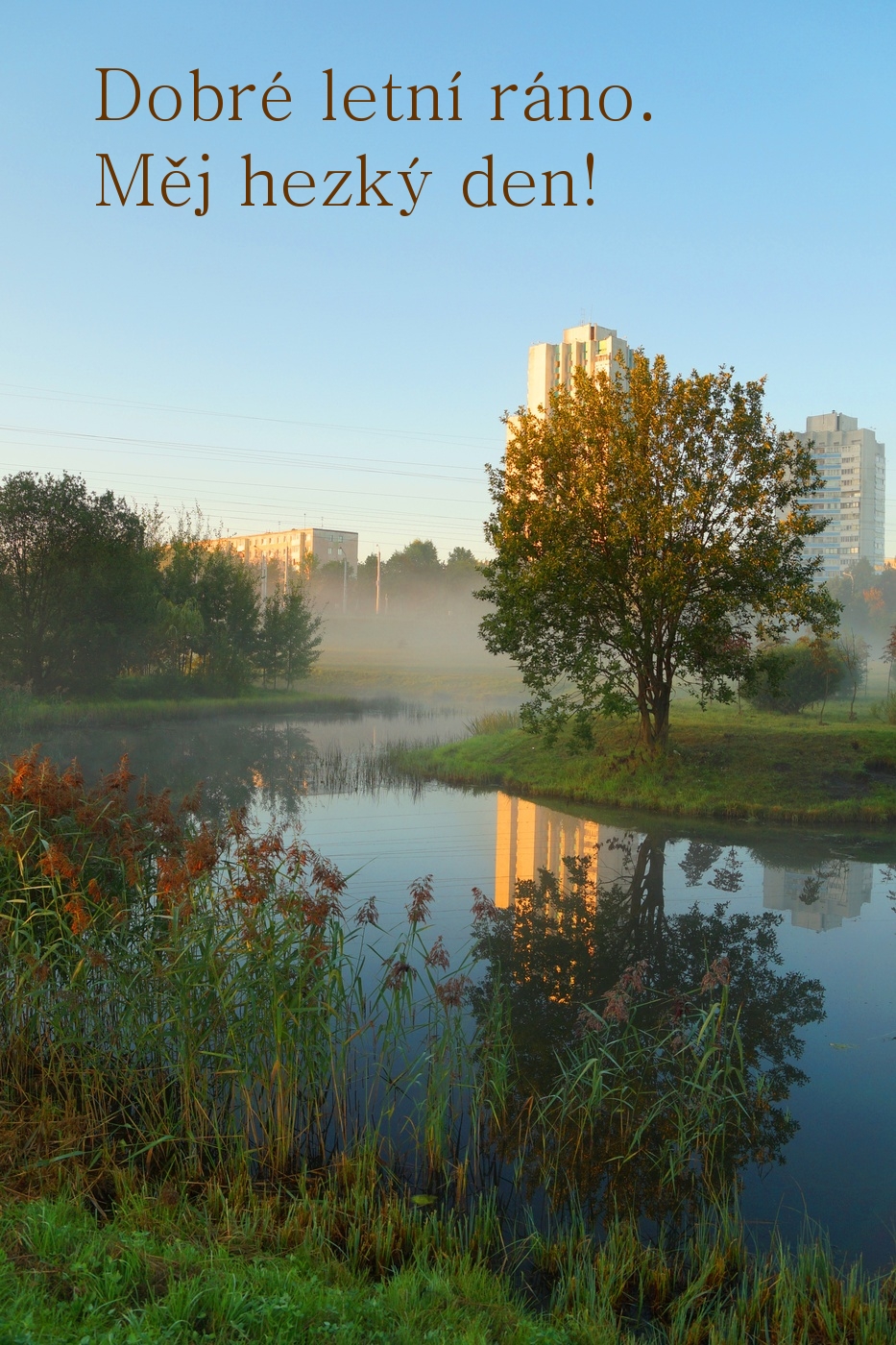 Dobré letní ráno. Měj hezký den!