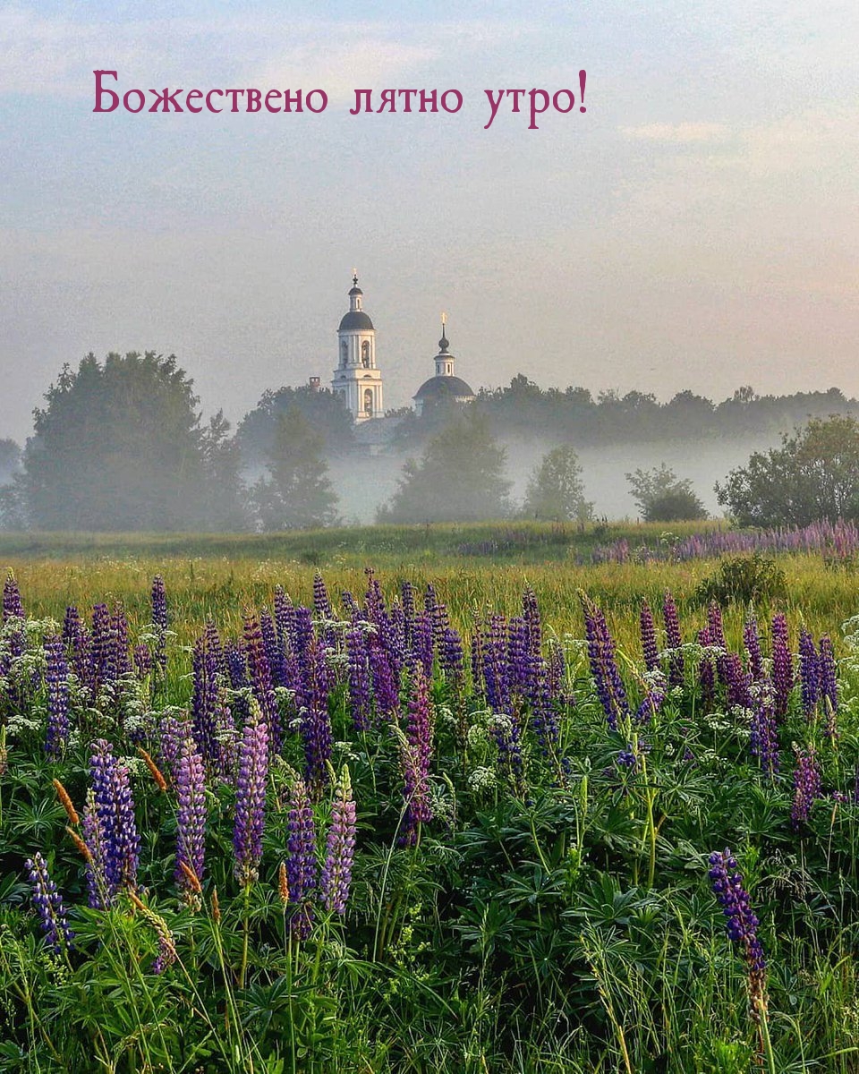 Божествено лятно утро!