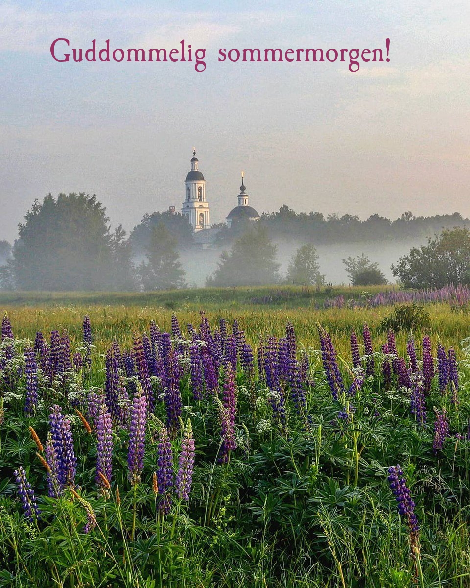 Guddommelig sommermorgen!