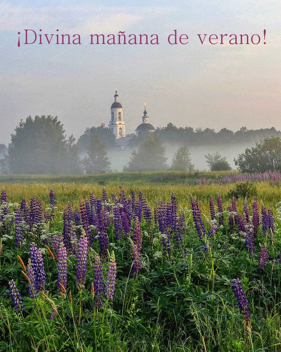¡Divina mañana de verano!