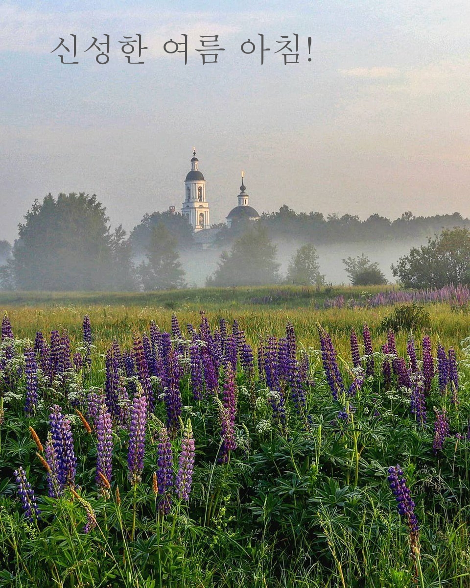 신성한 여름 아침!