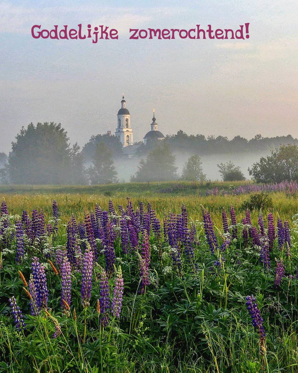 Goddelijke zomerochtend!