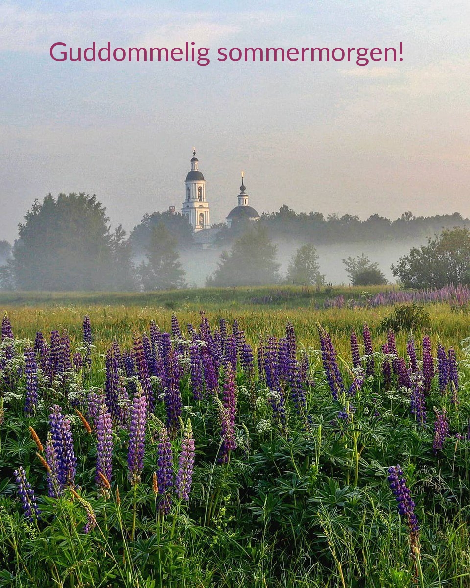 Guddommelig sommermorgen!