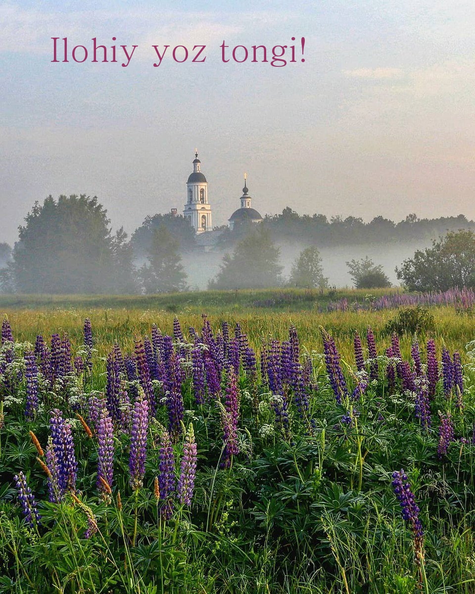 Jumalallinen kesäaamu!