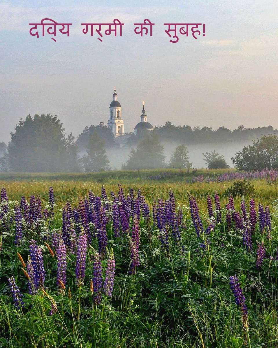 दिव्य गर्मी की सुबह!