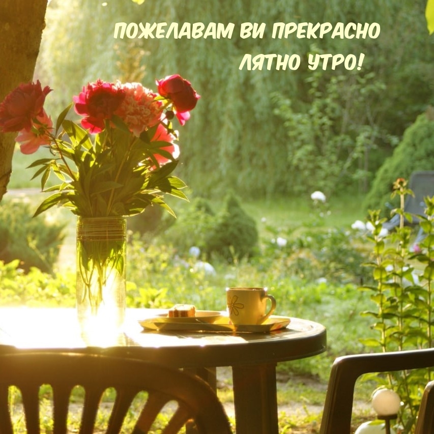 Пожелавам ви прекрасно лятно утро!