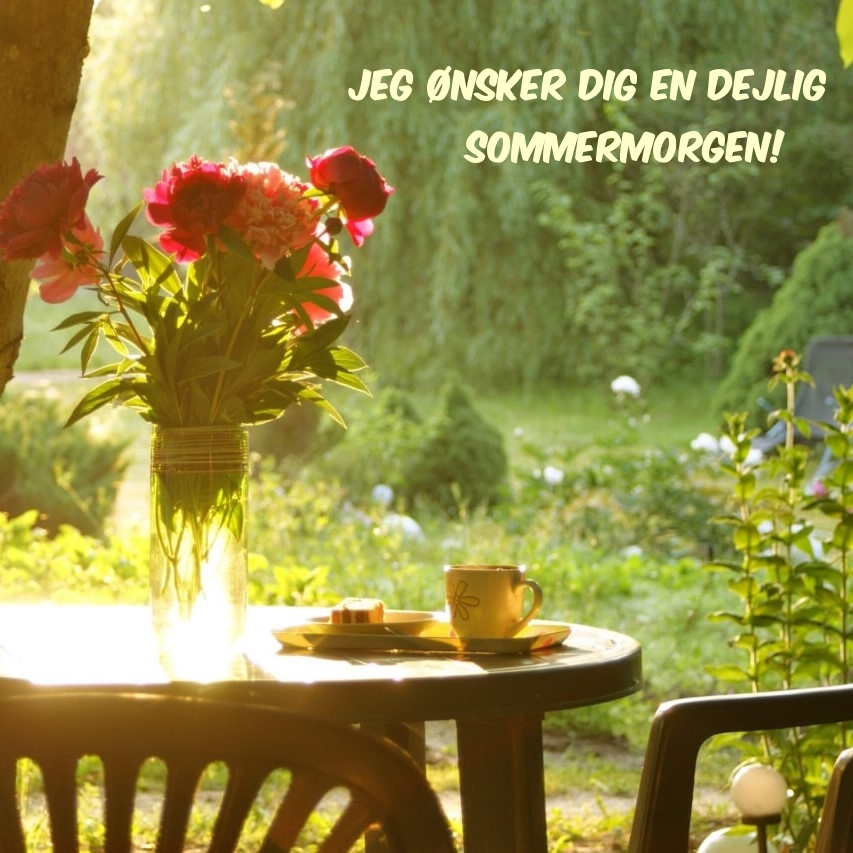Jeg ønsker dig en dejlig sommermorgen!