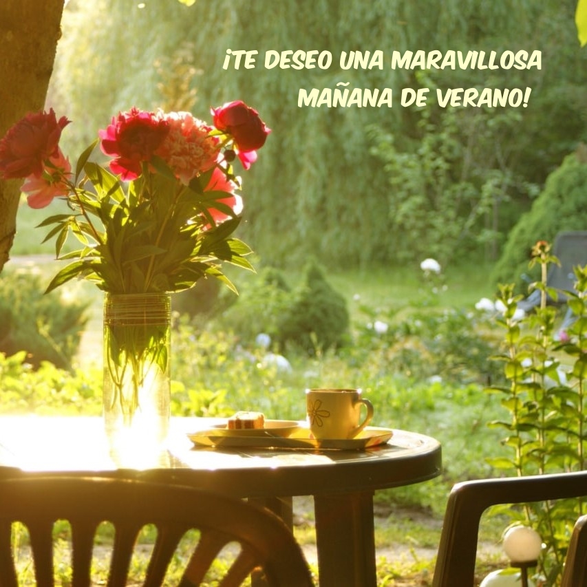 ¡Te deseo una maravillosa mañana de verano!