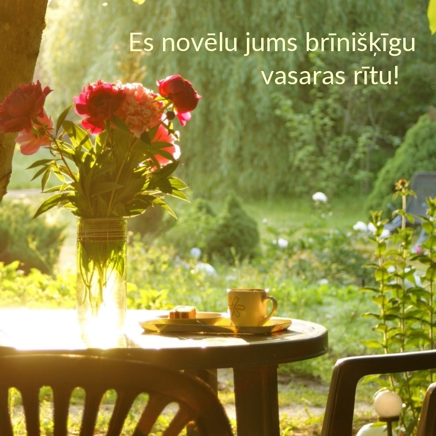 Es novēlu jums brīnišķīgu vasaras rītu!