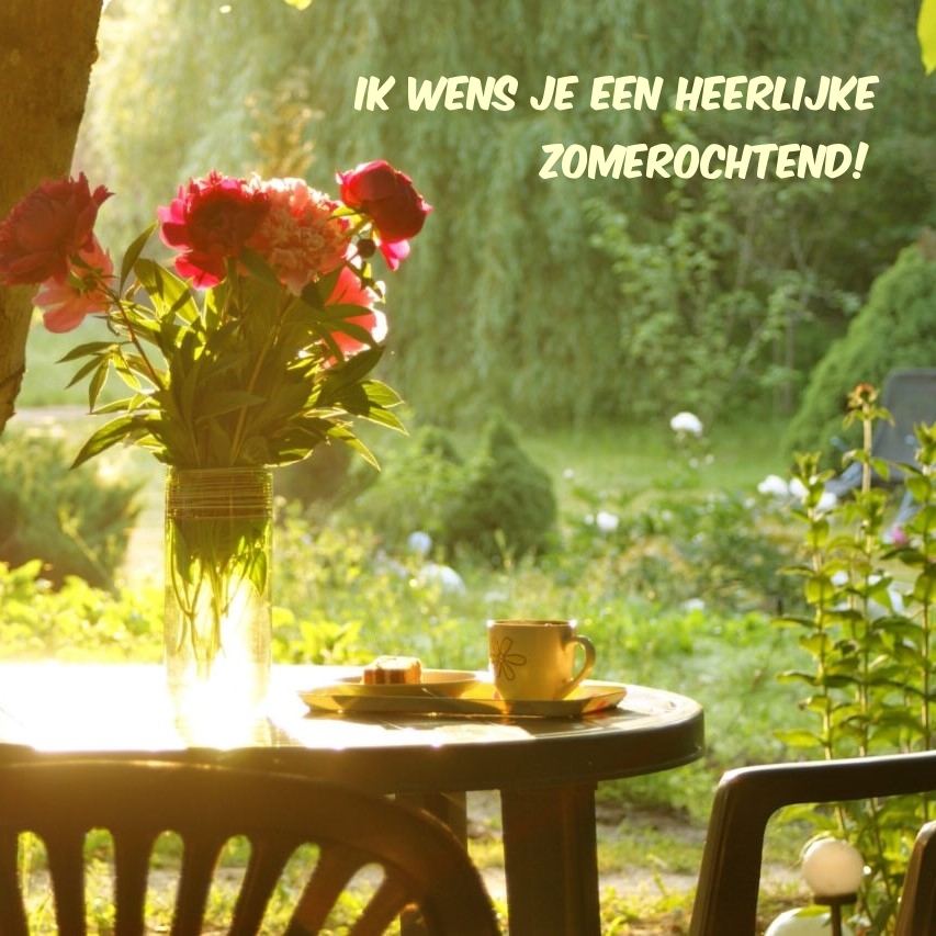 Ik wens je een heerlijke zomerochtend!