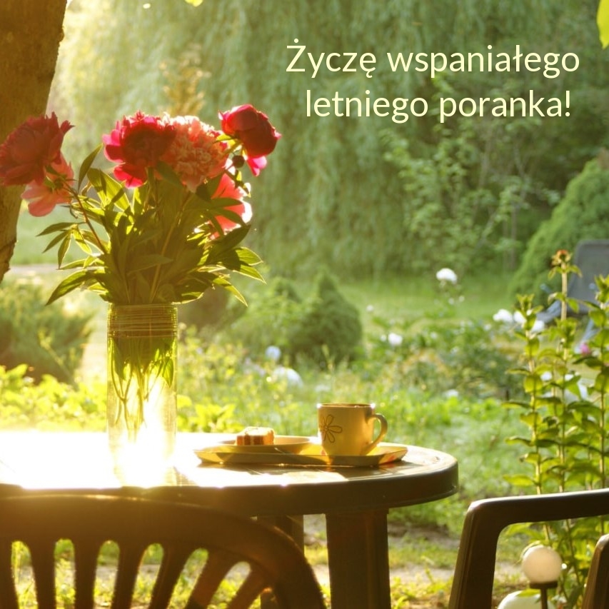 Życzę wspaniałego letniego poranka!