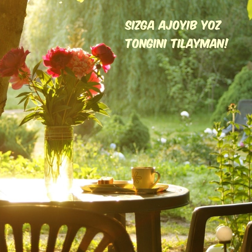 Sizga ajoyib yoz tongini tilayman!