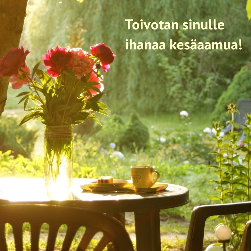 Toivotan sinulle ihanaa kesäaamua!