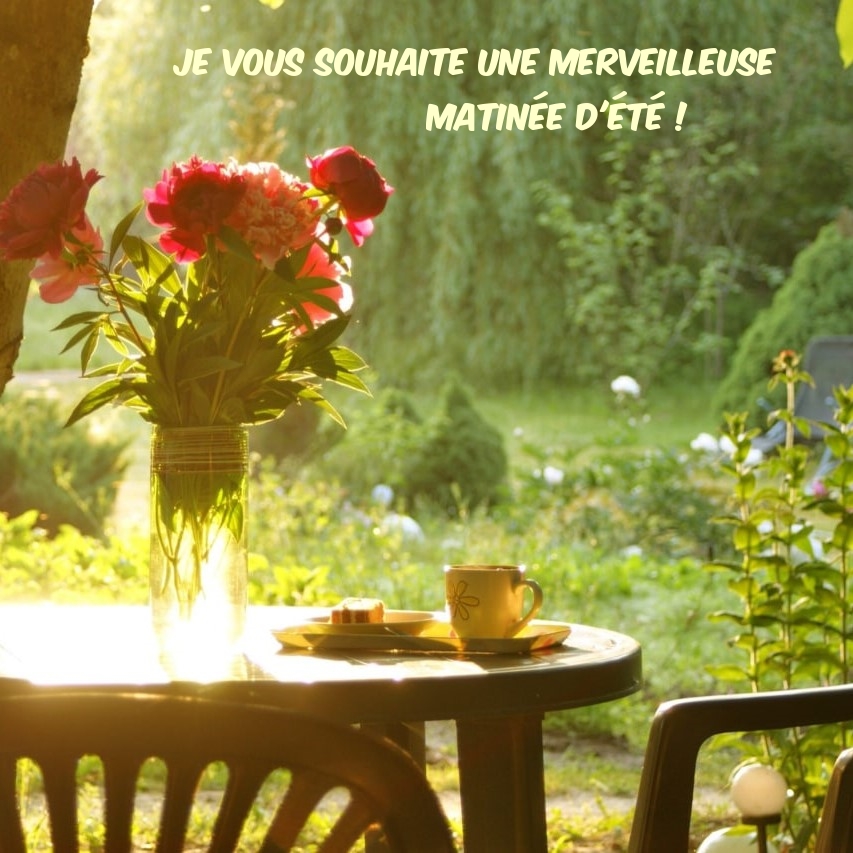 Je vous souhaite une merveilleuse matinée d