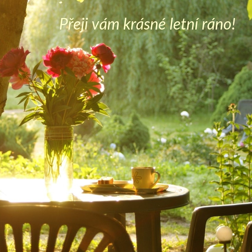 Přeji vám krásné letní ráno!
