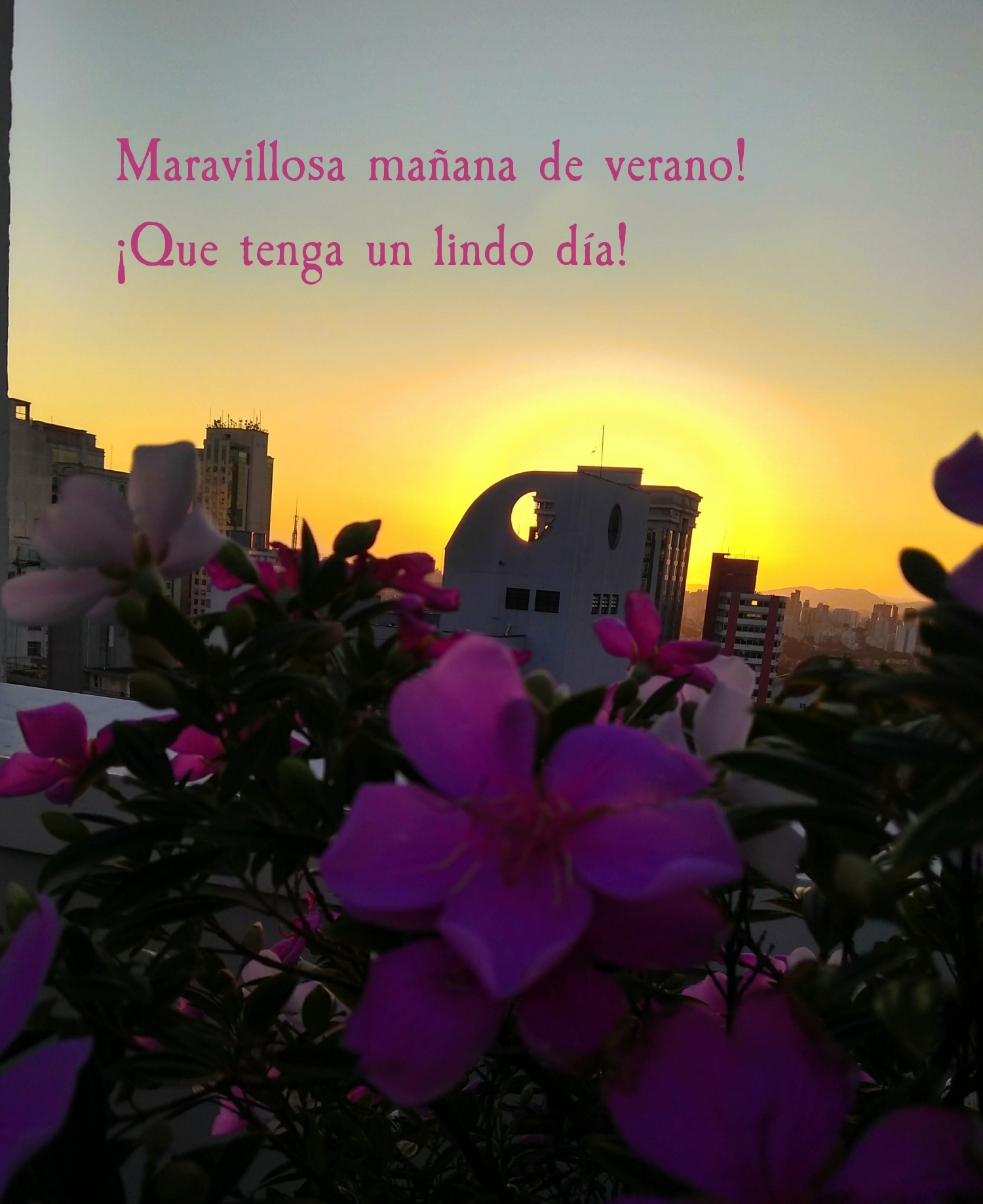 Maravillosa mañana de verano! ¡Que tenga un lindo día!