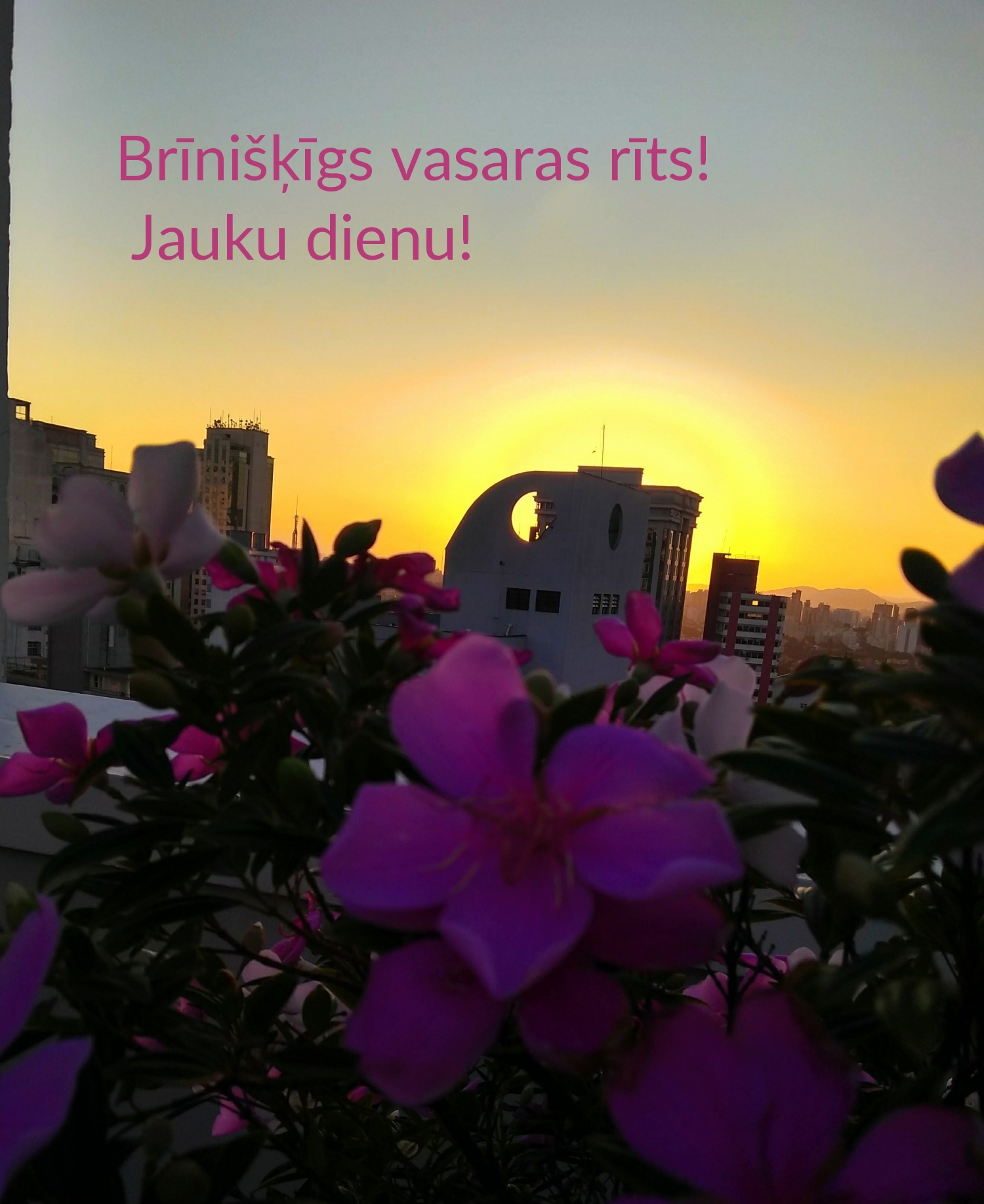 Brīnišķīgs vasaras rīts! Jauku dienu!