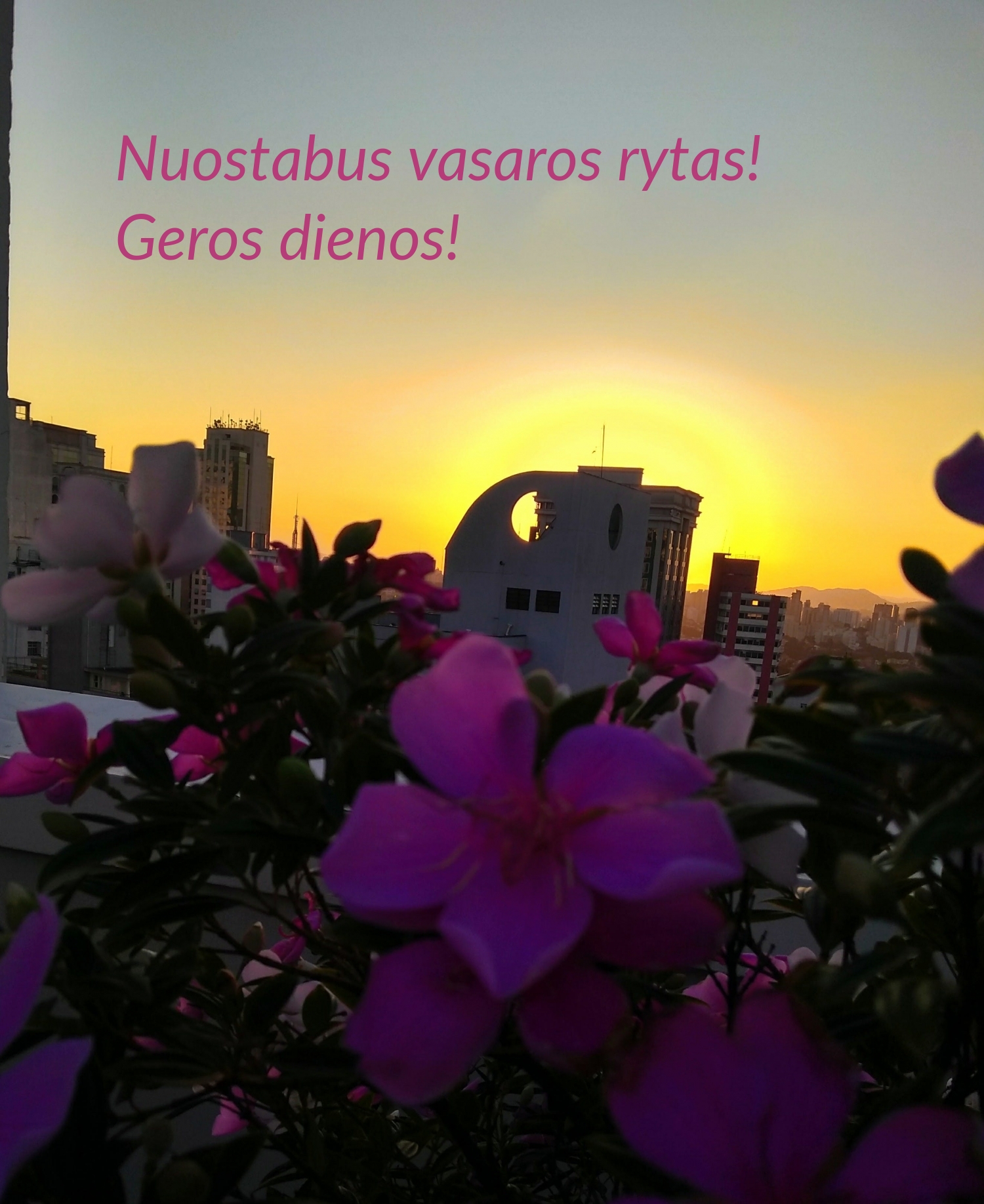 Nuostabus vasaros rytas! Geros dienos!
