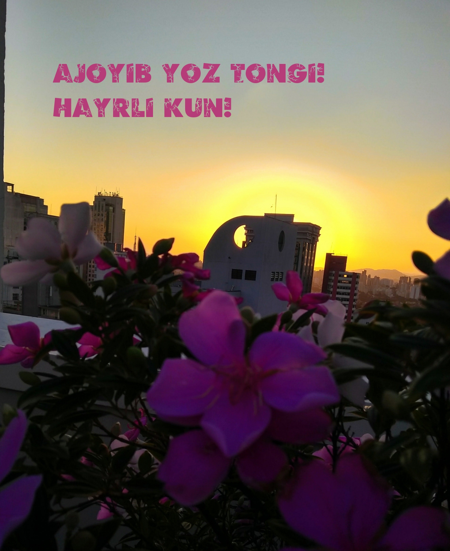 Ajoyib yoz tongi! Hayrli kun!