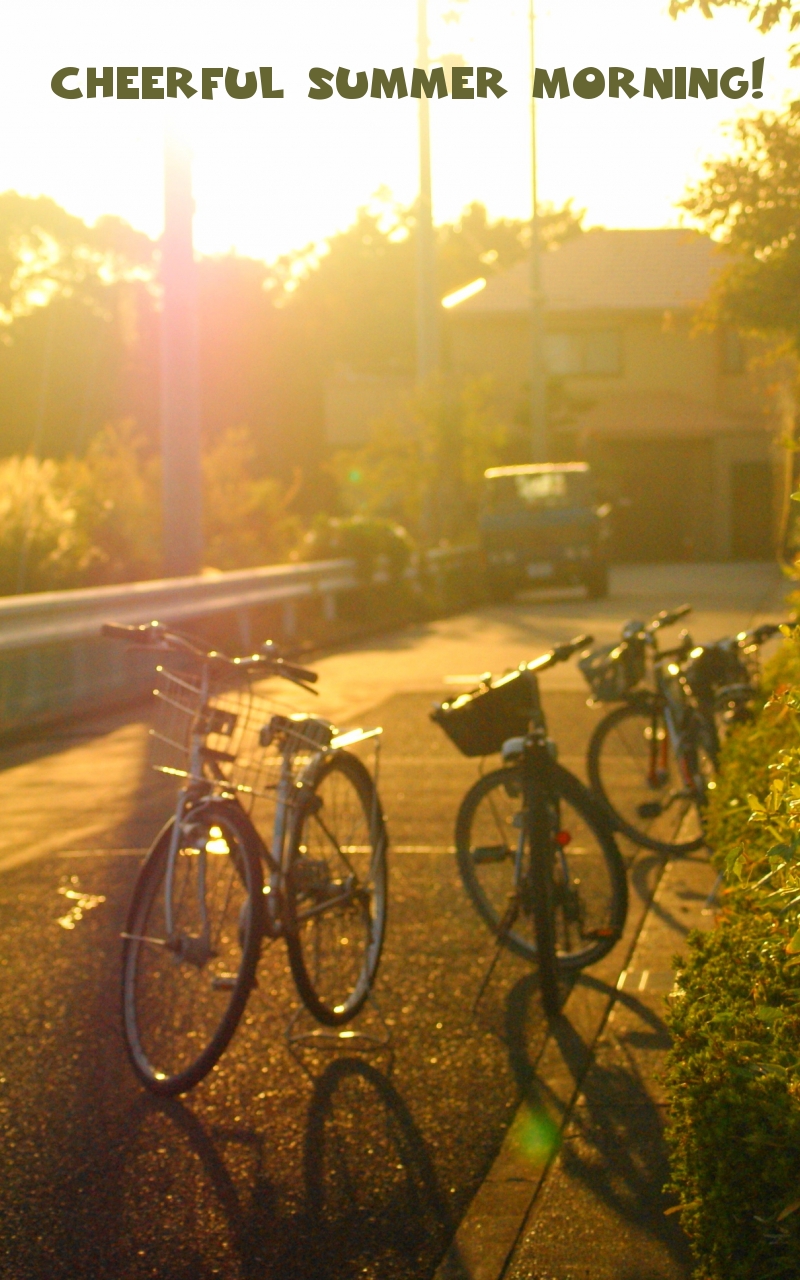 Cheerful summer morning!