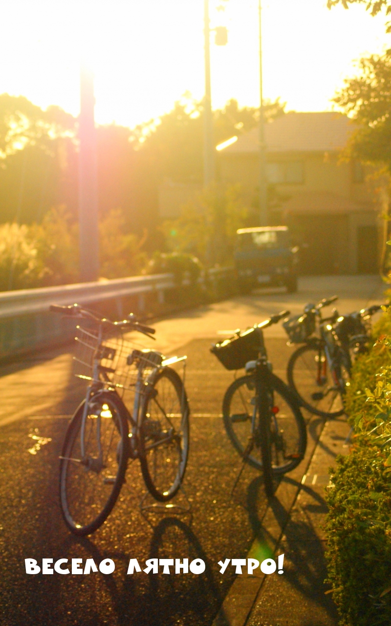 Весело лятно утро!