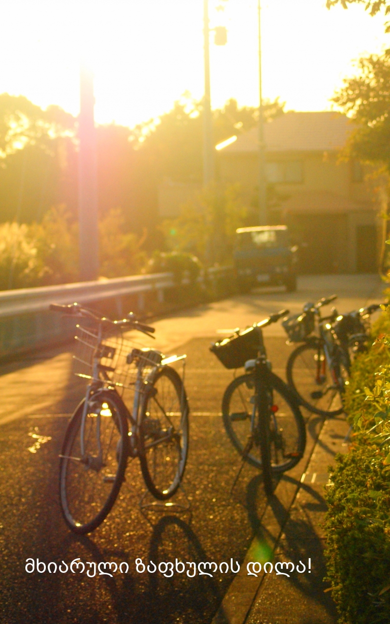 მხიარული ზაფხულის დილა!