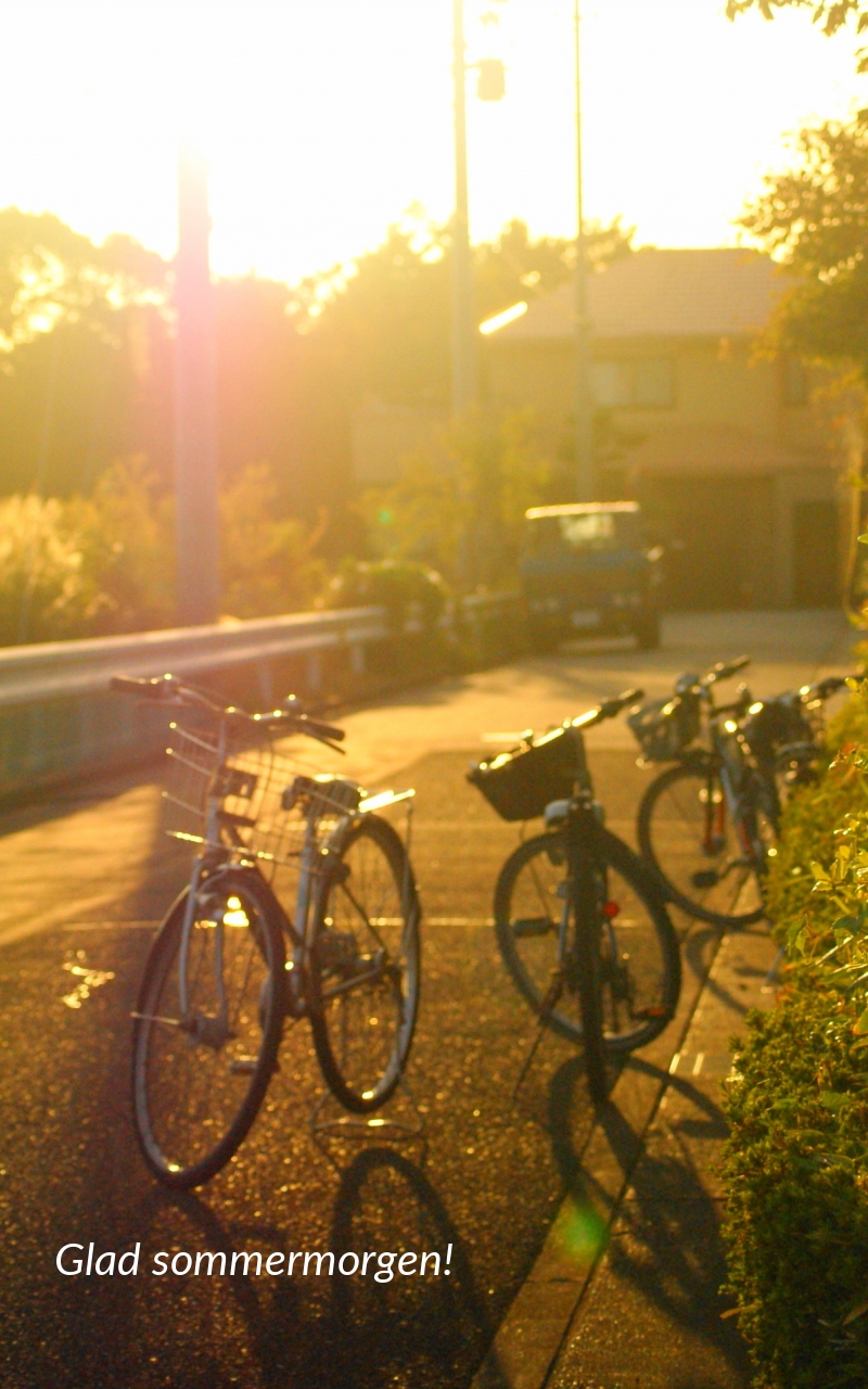 Glad sommermorgen!